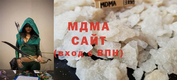 индика Козельск