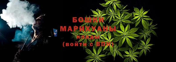 индика Козельск