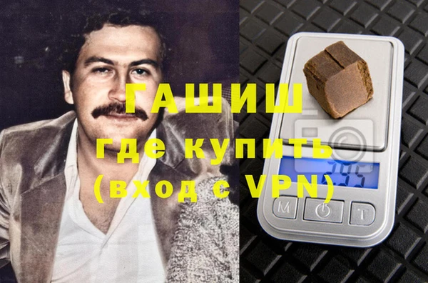 индика Козельск