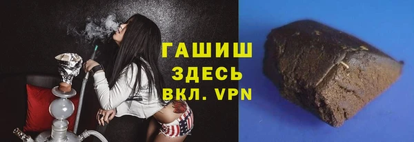 индика Козельск