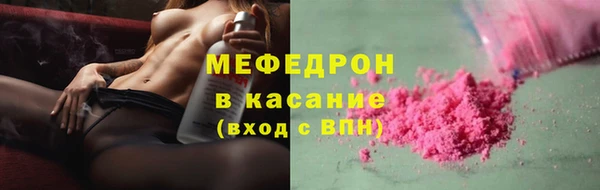 индика Козельск