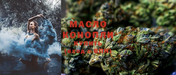 индика Козельск