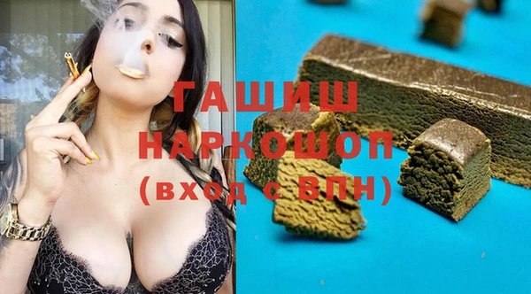 индика Козельск