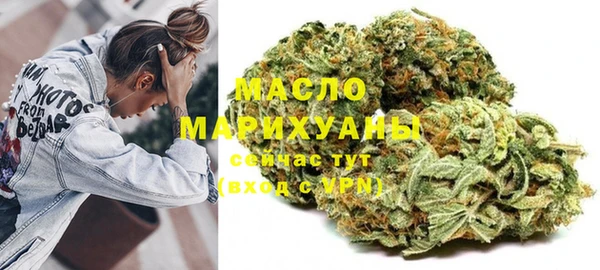индика Козельск