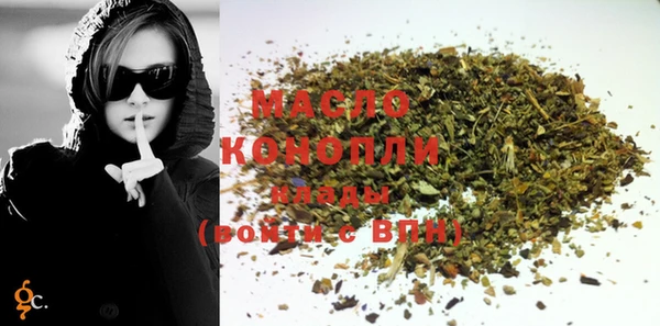 индика Козельск