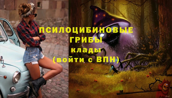 индика Козельск