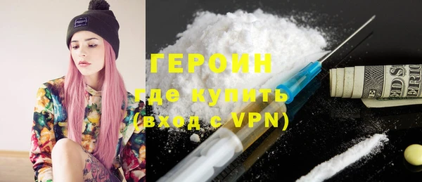 индика Козельск